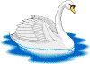 Till startsidan f�r F�glar. L�nkar i Sverige.