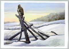 Dag Peterson, Ormvr�k