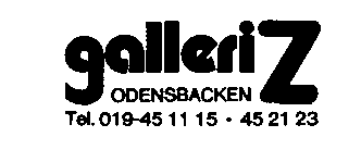 Logo Galleri Z