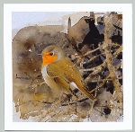 Hans Larsson, R�dhake