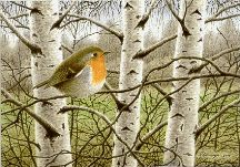 Sten K�rvinge, R�dhake