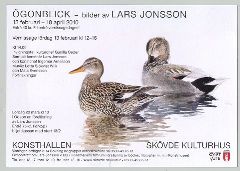 Lars Jonsson, Snatterand