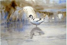 Peter Nilsson, Sk�rfl�cka