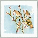 Stefan Gustafsson, Sidensvans