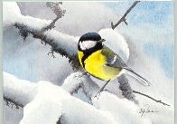 Staffan Ullstr�m, Talgoxe