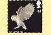 Birds of Prey - Royal Mail